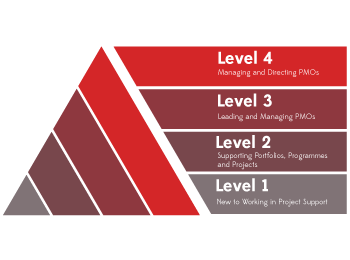 Levels of PMO Practitioners