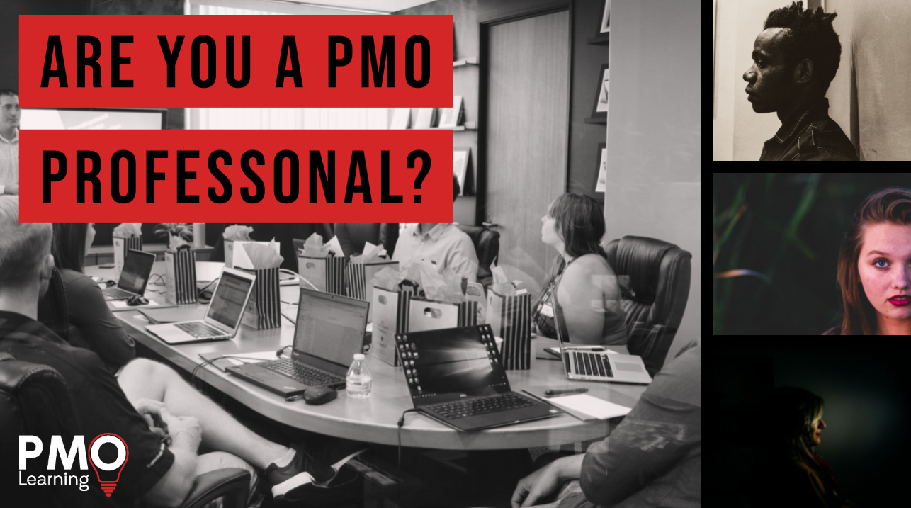 Are You a PMO Professional?