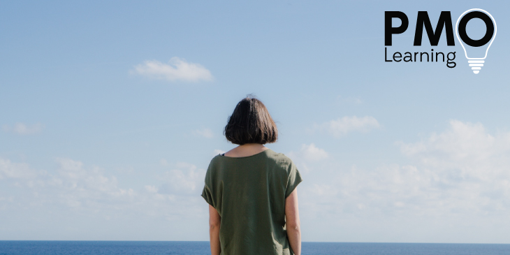 Roles and Opportunities in PMO