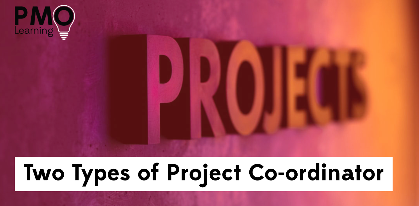 Two Types of Project Co-ordinator