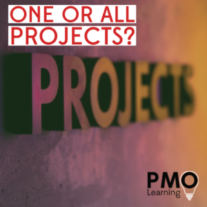 Project Co-ordinator - One or All Projects?