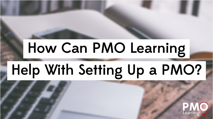How Can PMO Learning Help With Setting Up a PMO?