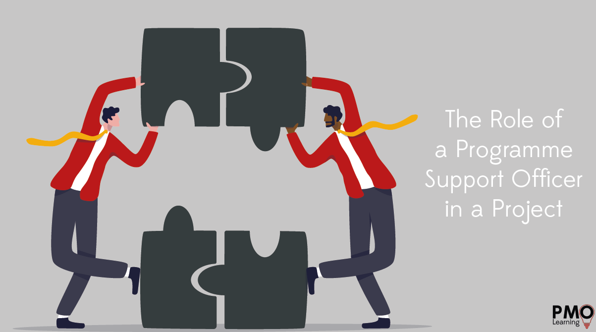 The Role of a Programme Support Officer in a Project