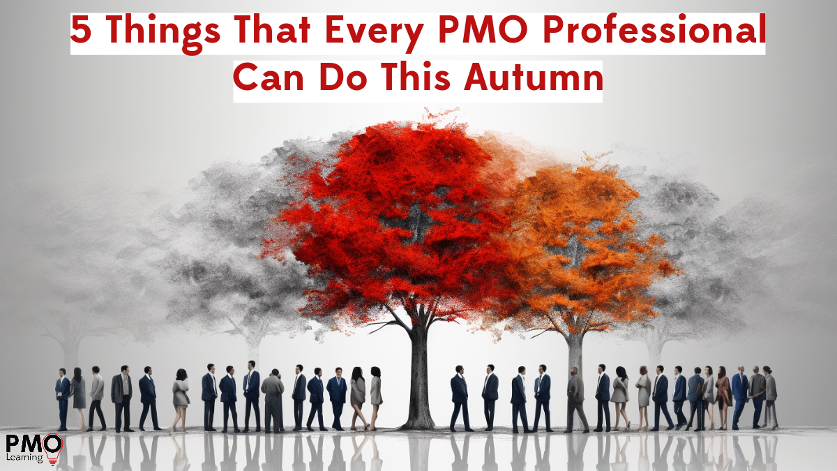 5 Things That Every PMO Professional Can Do This Autumn