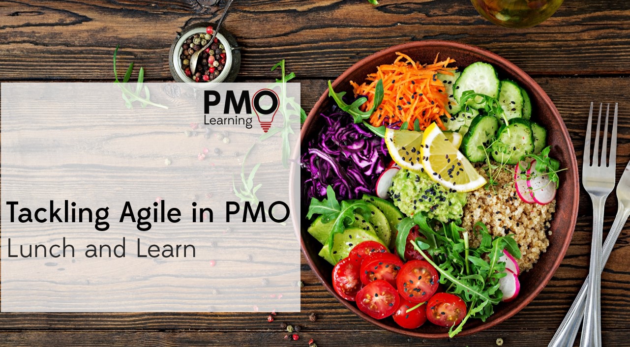 Lunch and Learn – Tackling Agile in PMO