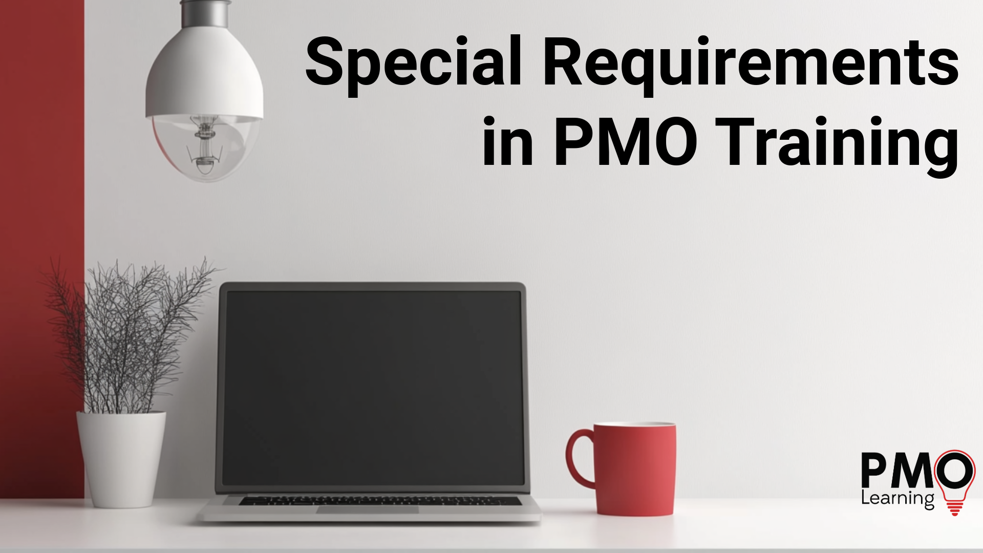 Special Requirements in PMO Training
