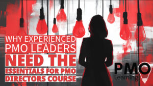 Becoming a PMO Director - Which Course Can Help?