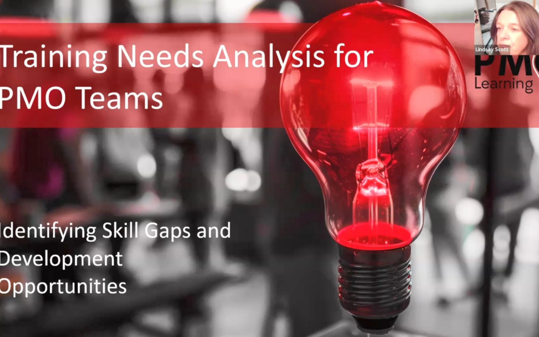 Lunch and Learn – PMO Training Needs Analysis