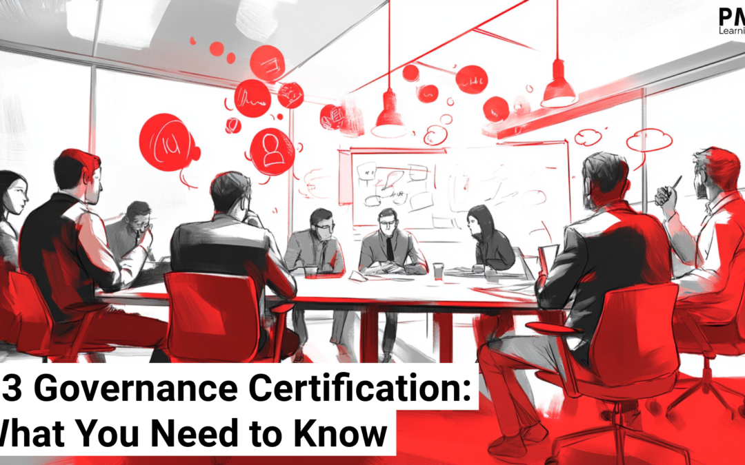 P3 Governance Certification: What You Need to Know